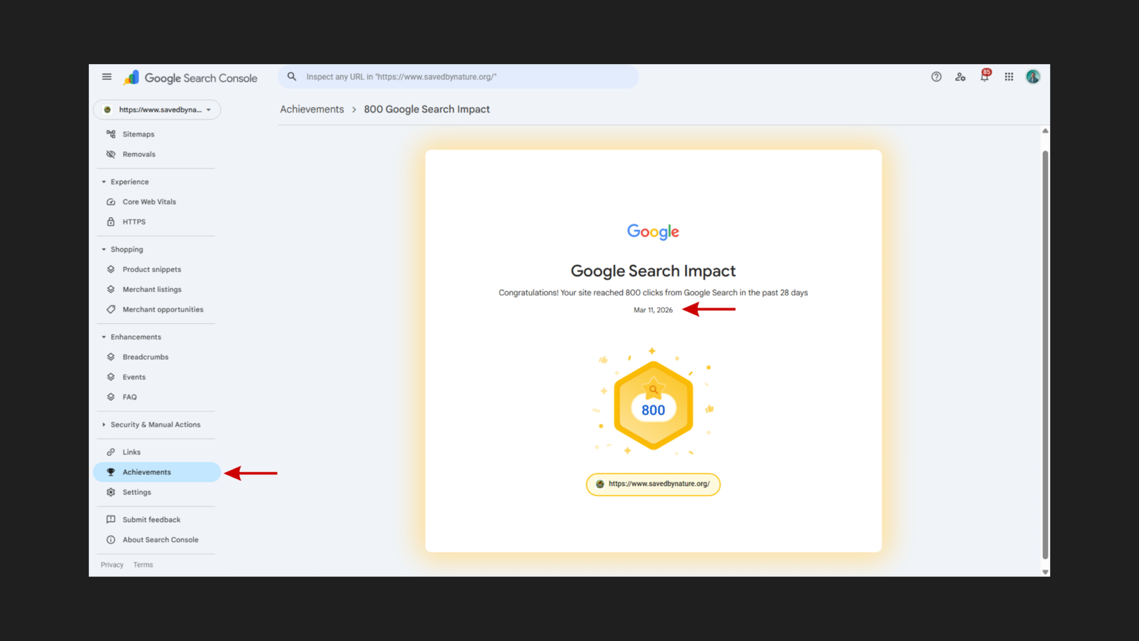 Google Search Console Achievements page for savedbynature.org showing the 800 Google Search Impact milestone badge — a gold hexagonal badge with the number 800 — awarded on March 11 2026 with the message "Congratulations! Your site reached 800 clicks from Google Search in the past 28 days"