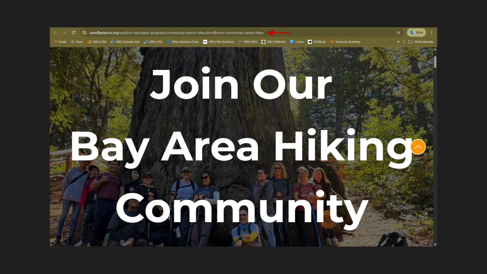 Saved By Nature Community Nature Hikes enrollment page at savedbynature.org/outdoor-education-programs/community-nature-hikes/enrollment-community-nature-hikes showing the hero section with the headline "Join Our Bay Area Hiking Community" overlaid on a background image of a group of hikers standing in front of a large redwood tree, with a red arrow pointing to the full URL in the browser bar