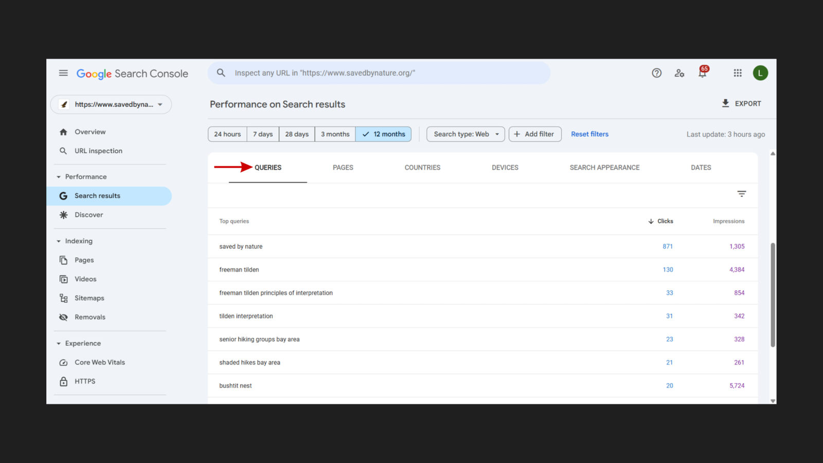 Google Search Console top queries for savedbynature.org, 12 months June 2024 to June 2025: "saved by nature" 871 clicks / 1,305 impressions; "freeman tilden" 130 clicks / 4,384 impressions; "freeman tilden principles of interpretation" 33 clicks / 854 impressions; "tilden interpretation" 31 clicks / 342 impressions; "senior hiking groups bay area" 23 clicks / 328 impressions; "shaded hikes bay area" 21 clicks / 261 impressions; "bushtit nest" 20 clicks / 5,724 impressions