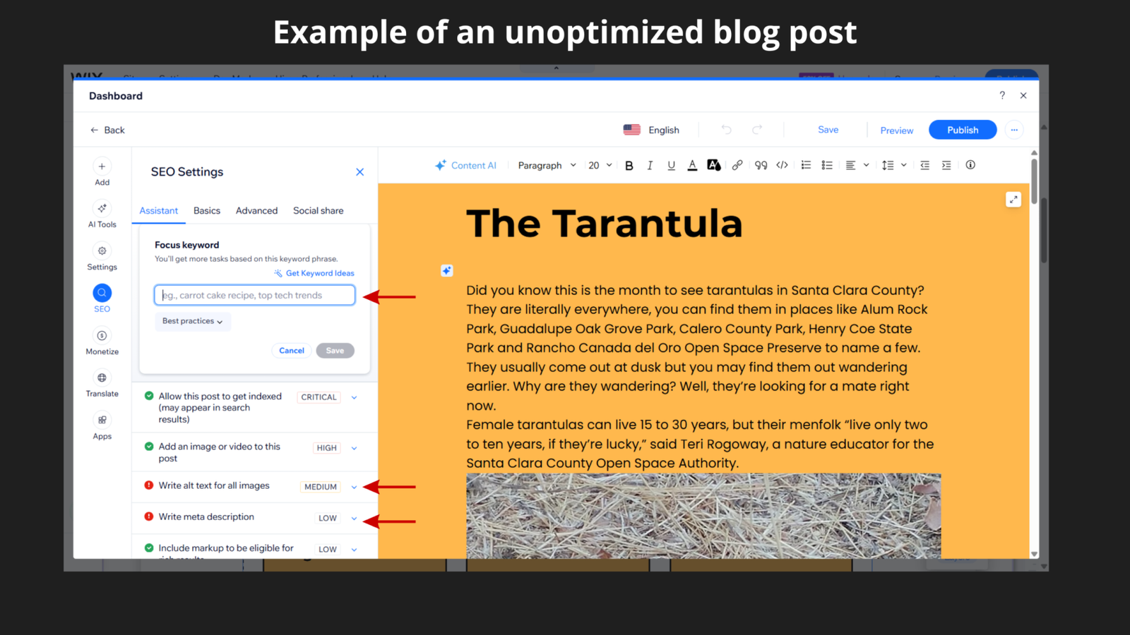 Wix SEO Assistant panel for the Tarantula blog post showing an empty focus keyword field and two outstanding issues flagged in red: Write alt text for all images rated Medium priority and Write meta description rated Low priority, with red arrows highlighting both flags