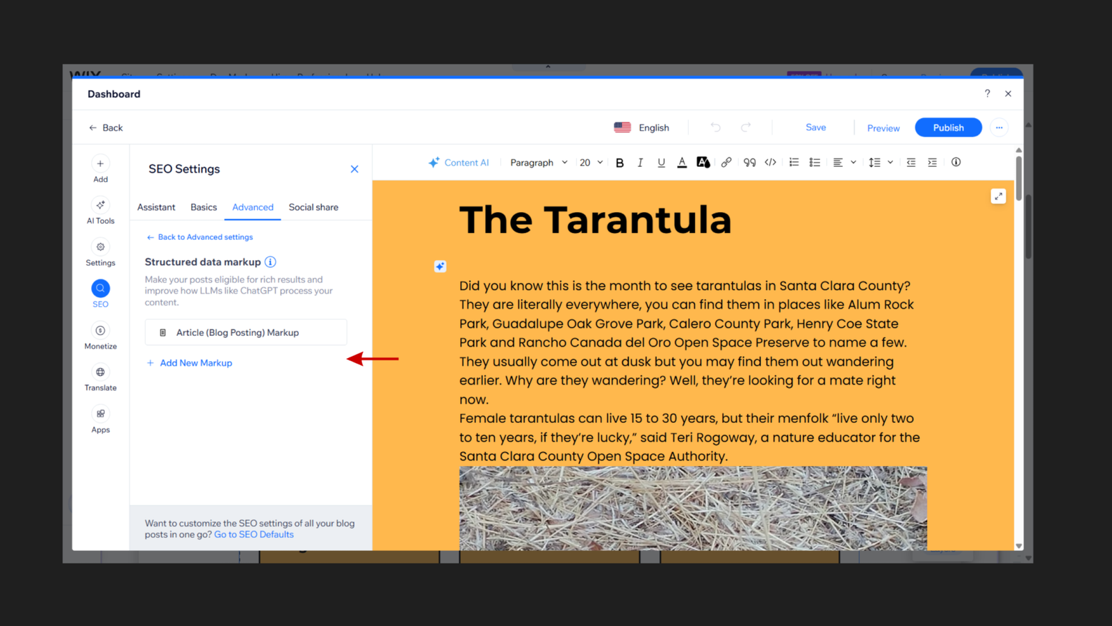Wix SEO Settings Advanced tab for the Tarantula blog post on savedbynature.org showing only the default Article Blog Posting Markup applied automatically by Wix, with no additional schema types added and a red arrow pointing to the Add New Markup button